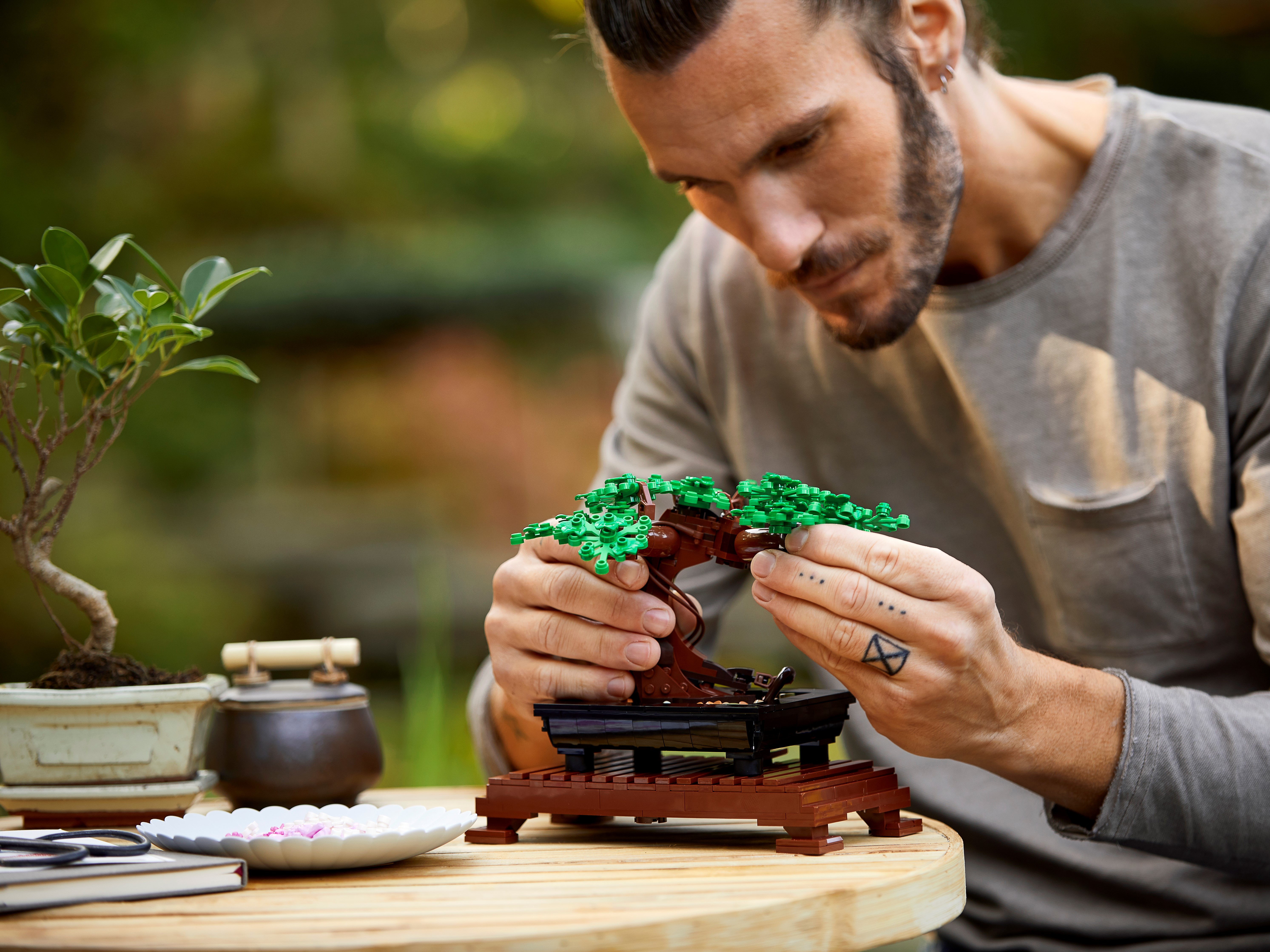 Bonsai Baum 10281