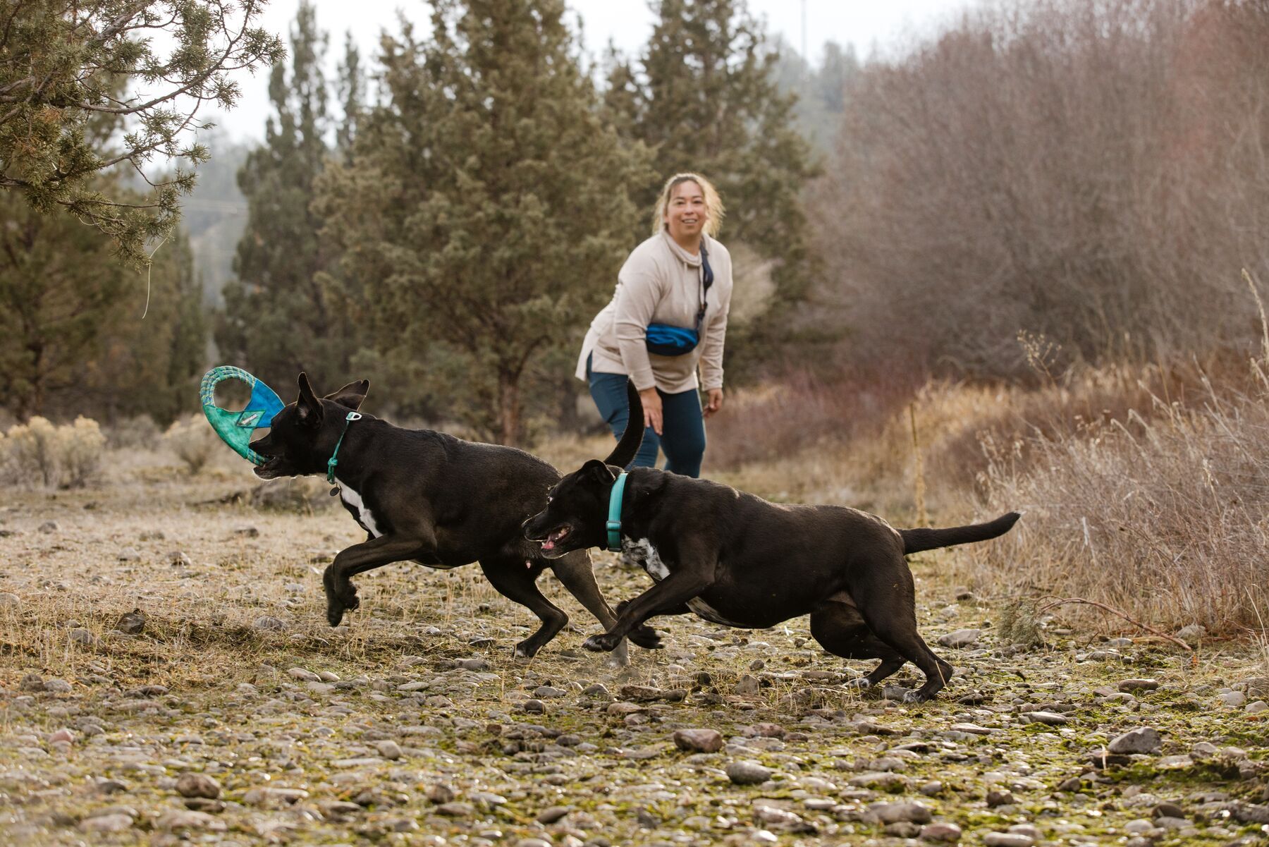 Ruffwear Frisbees & Wurfspielzeug Ruffwear Pacific Ring™ Spielzeug blau/ türkis