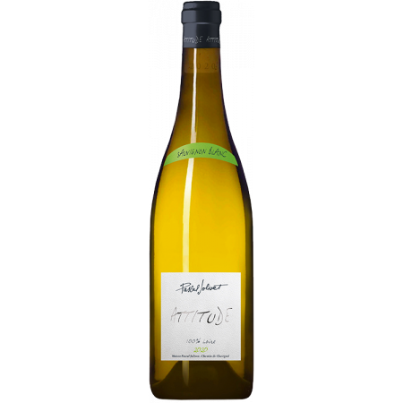 ATTITUDE BLANC 2022 - PASCAL JOLIVET