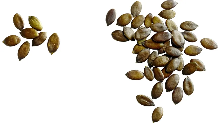 Seeberger Kürbiskerne Schalenlos 500 g
