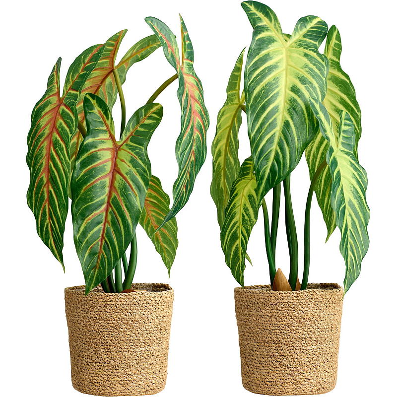 Home Xanthosoma plante 50 cm kunstig