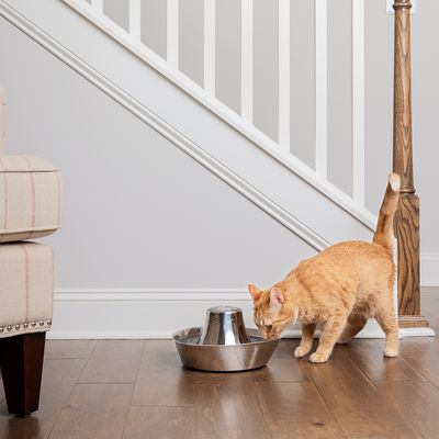 PetSafe® Edelstahl-Trinkbrunnen Küstenrauschen