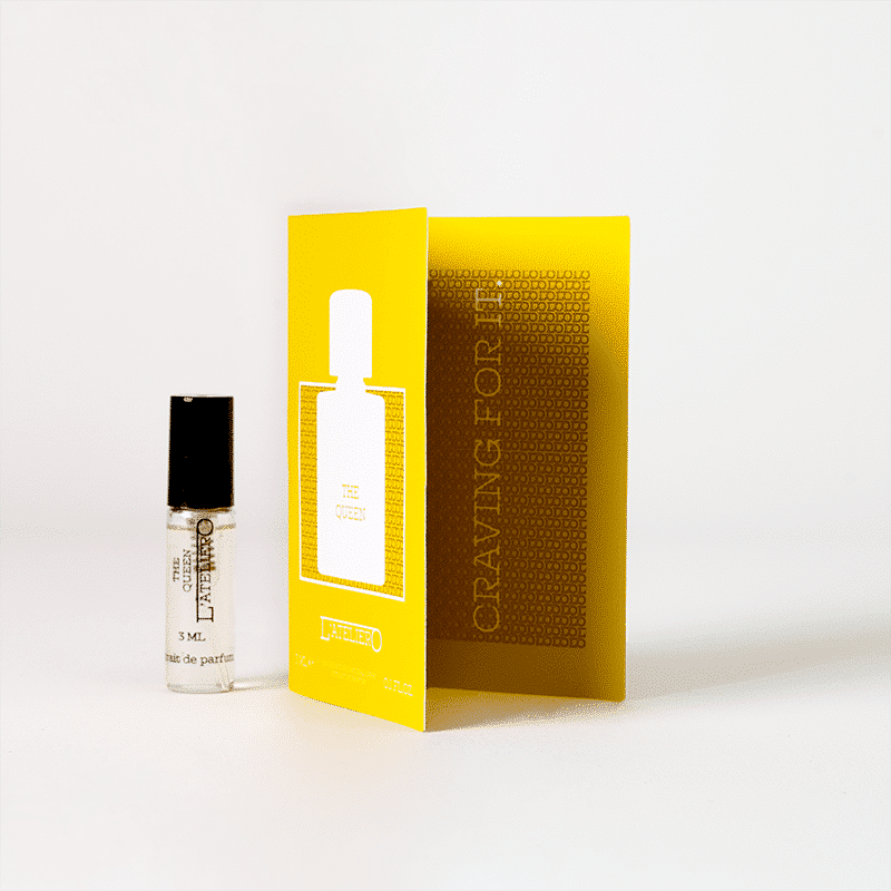 Discovery Set – Damen