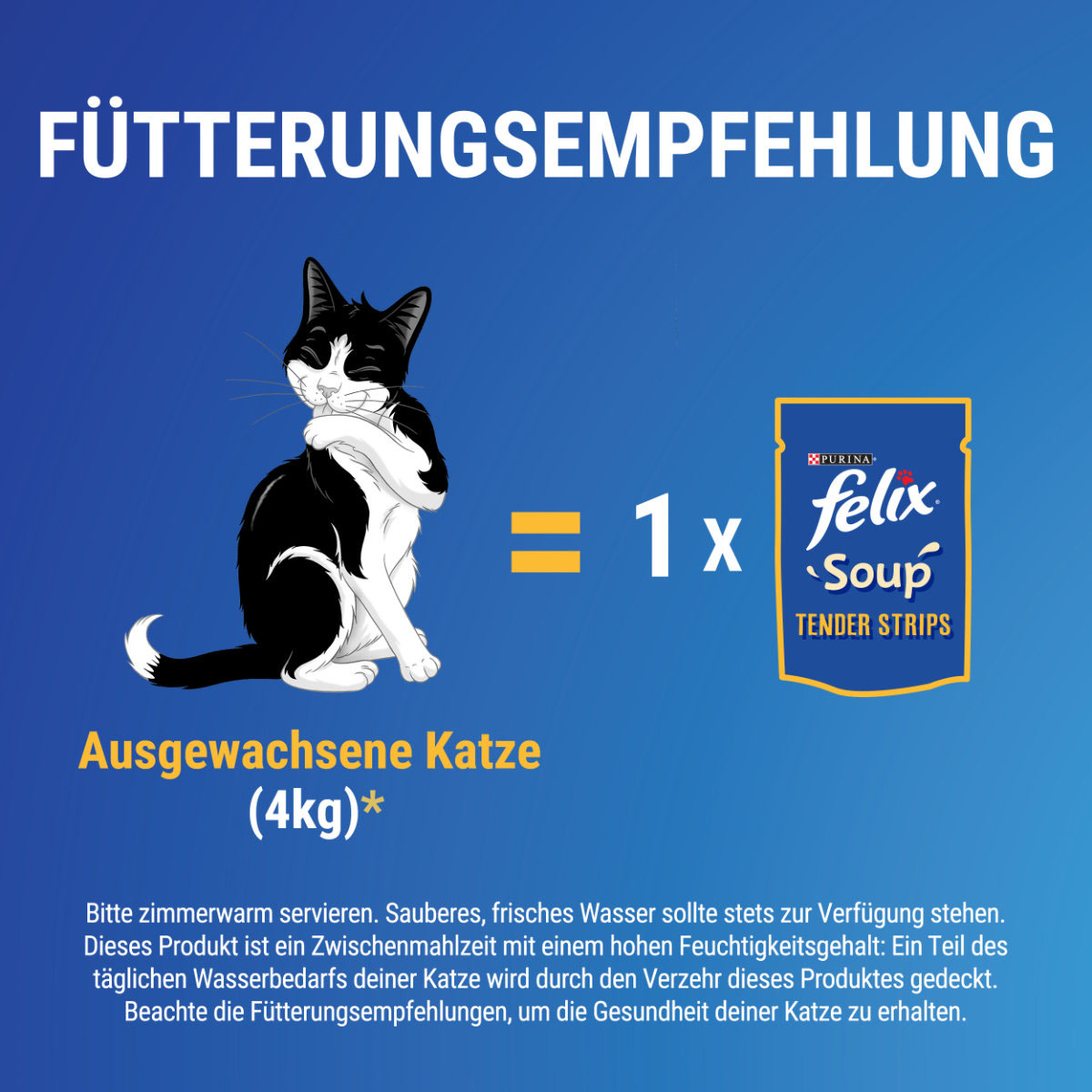 FELIX Soup Tender Strips Vielfalt vom Land kaufen