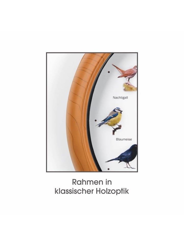 EASYmaxx Wanduhr Küchenuhr Uhr Analog Vogelstimmen 12 Singvogelstimmen 25cm günstig kaufen onesize