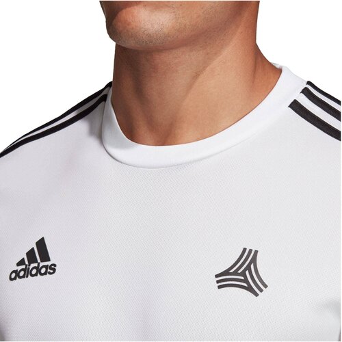 LIFESTYLE - TEXTILIEN - SWEATSHIRTS TANGO TRIKOT LANGARM