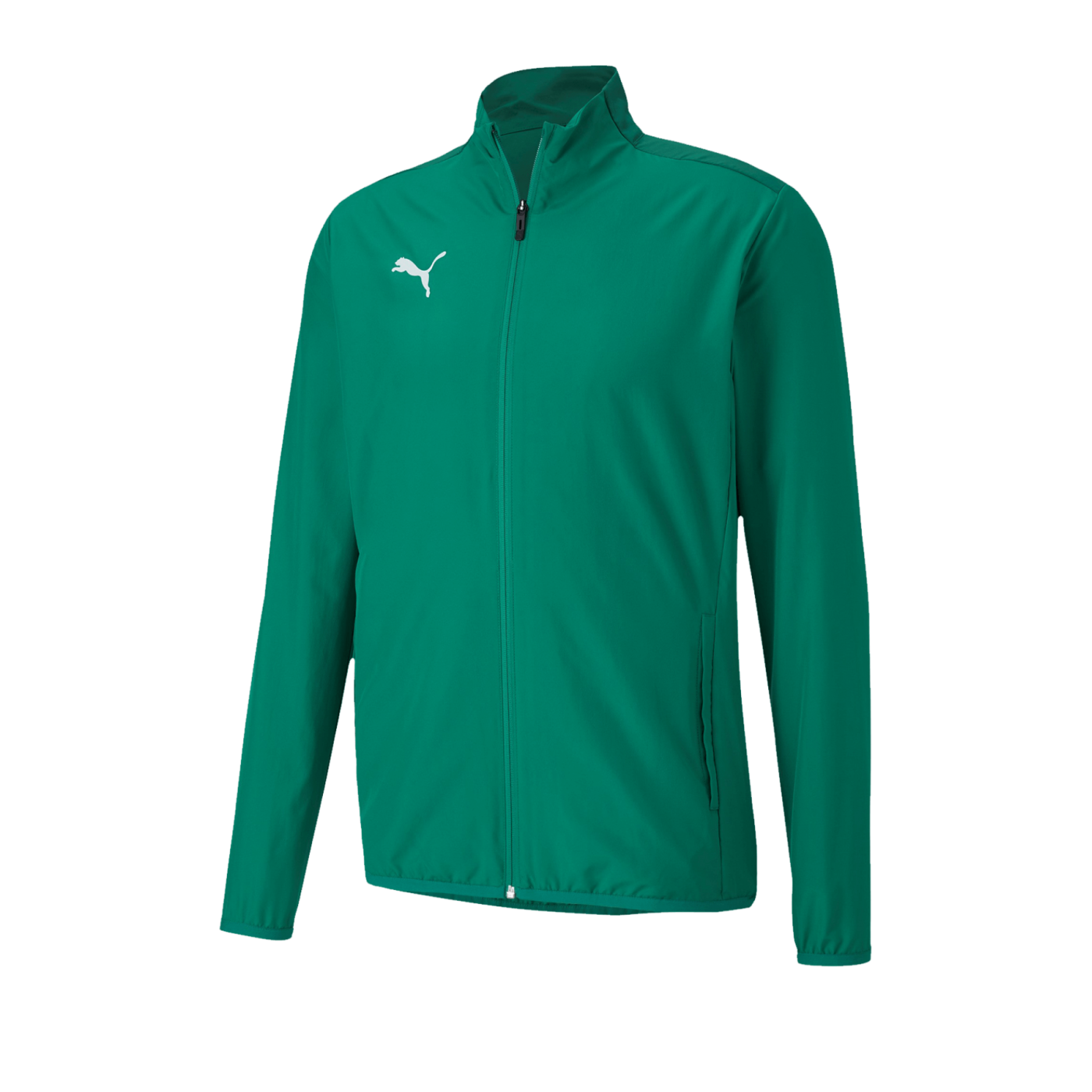 PUMA teamGOAL 23 Sideline Trainingsjacke Grün F05