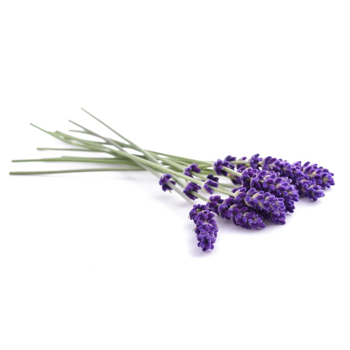 IPURO Raumduft Ipuro Essentials lavender touch 200ml Raumduft Dufträume (1er Pack)