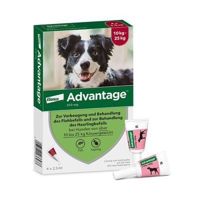 Advantage® 250 für Hunde, von 10 bis 25 kg