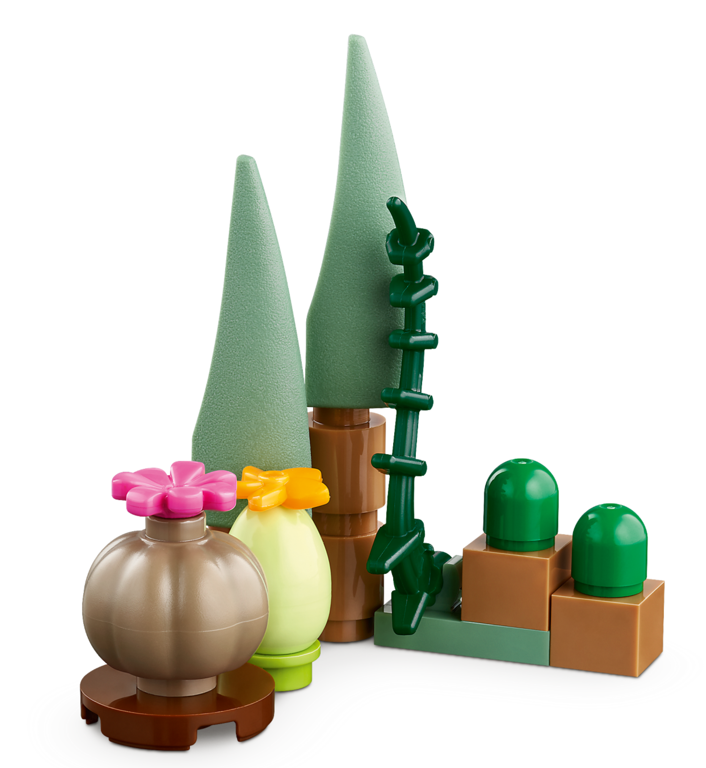 Botanischer Garten 41757
