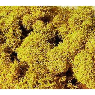 Islandmoos gelb 30 g