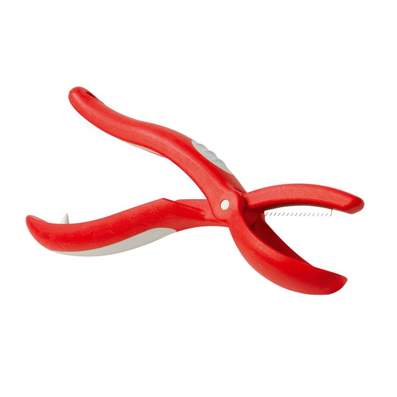 Kelomat Obstschneider Maronischneider Kastanienschneider, (1-tlg)