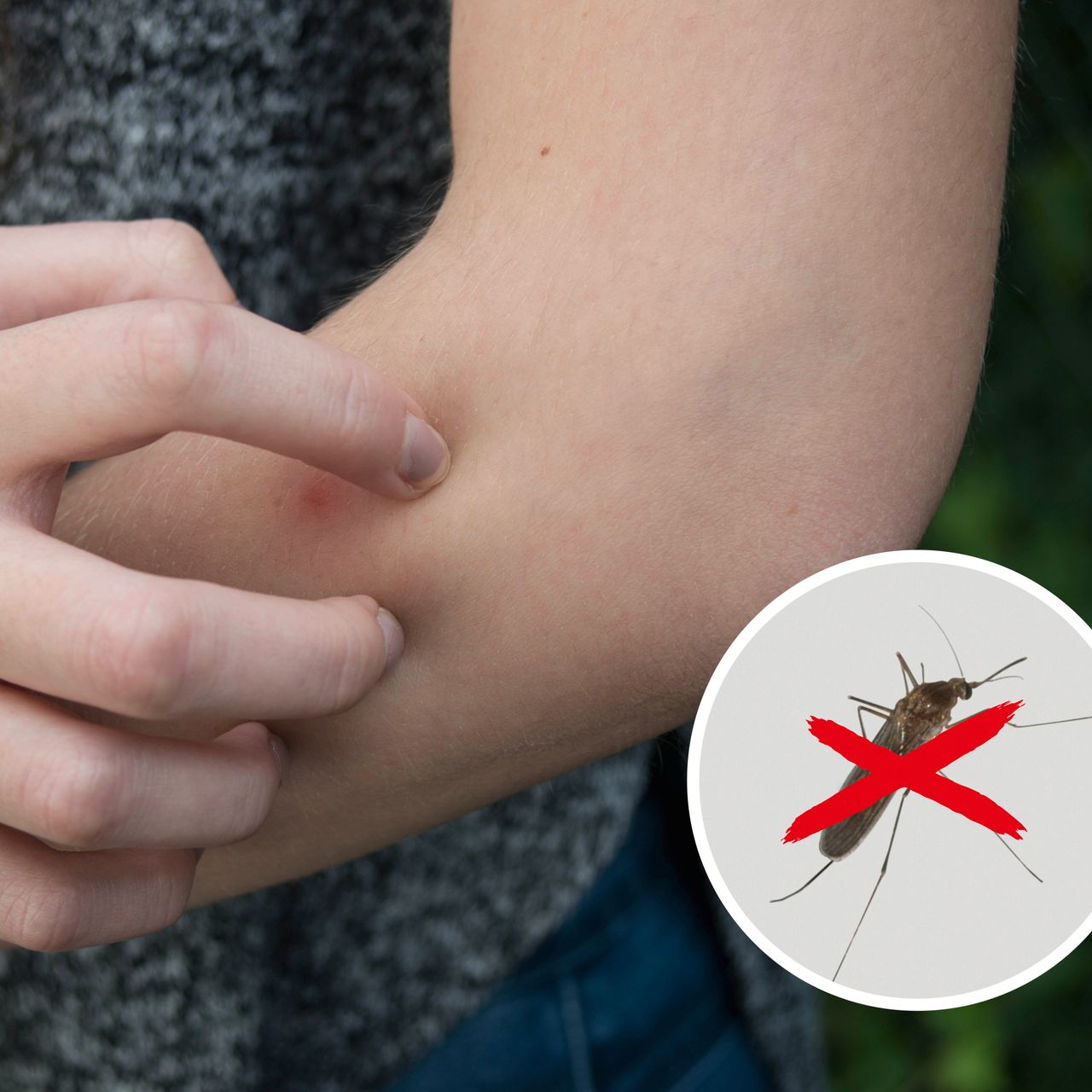 Tevigo Gardigo Insektenvernichter-Stecker