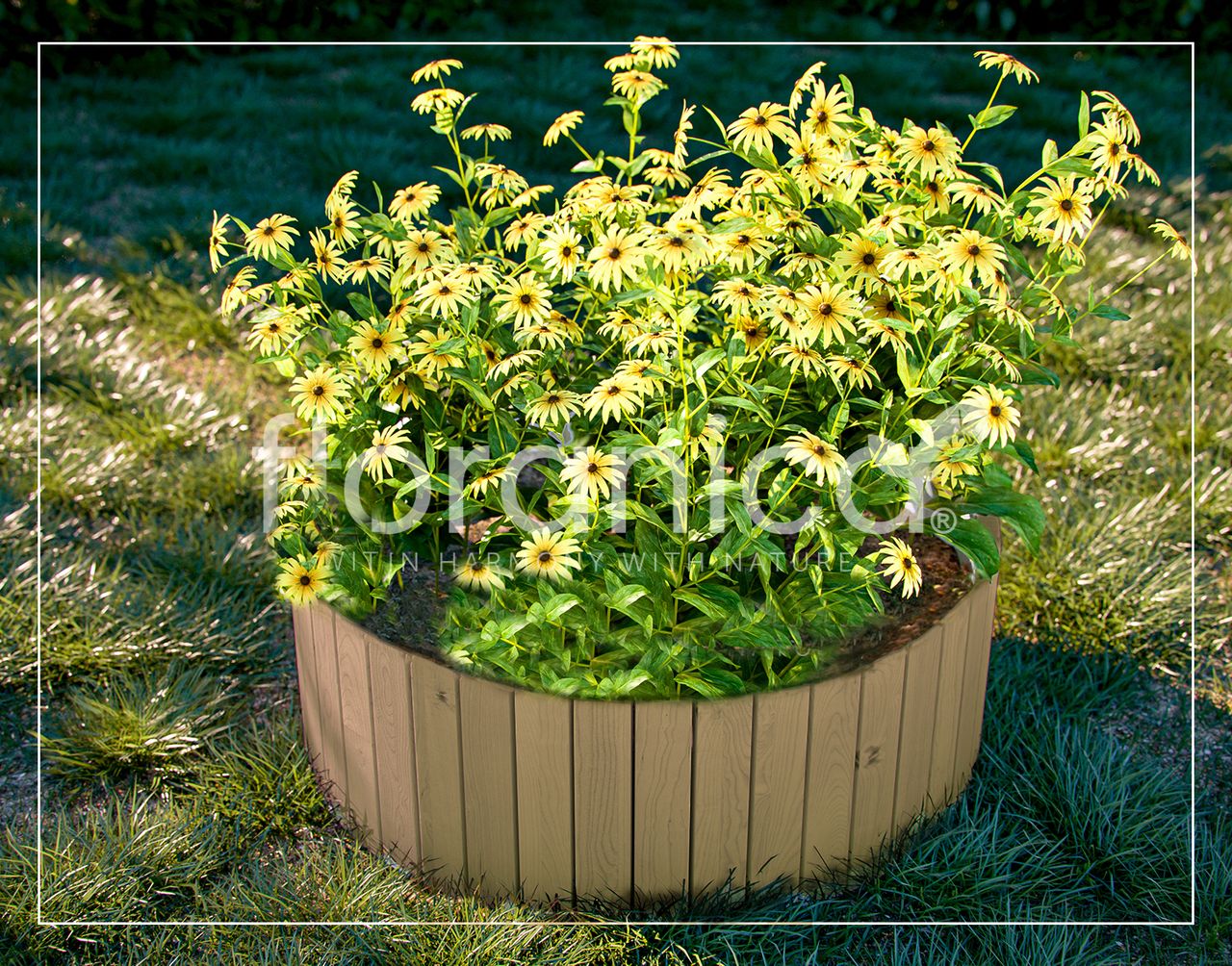 Pemicont Floranica Rollborder II Flexibler Holzzaun 203cm (kürzbar) Höhe: 30cm Unbehandelt Kiefernholz Beeteinfassung Rasenkante Beetumrandungen