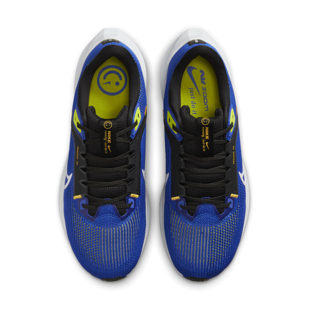 Nike Air Zoom Pegasus 40 DV3853-401 / blau