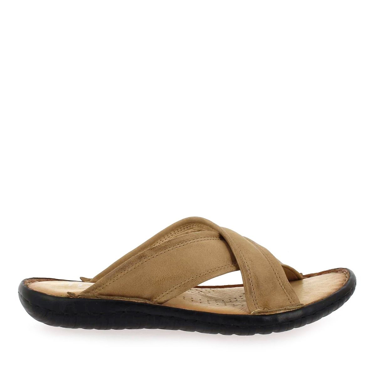 MJUS  439003 - Camel