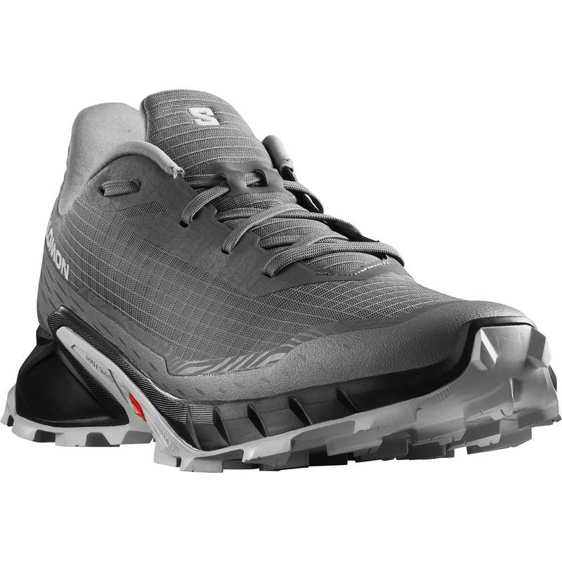 Salomon ALPHACROSS 5 Multifunktionsschuhe Herren