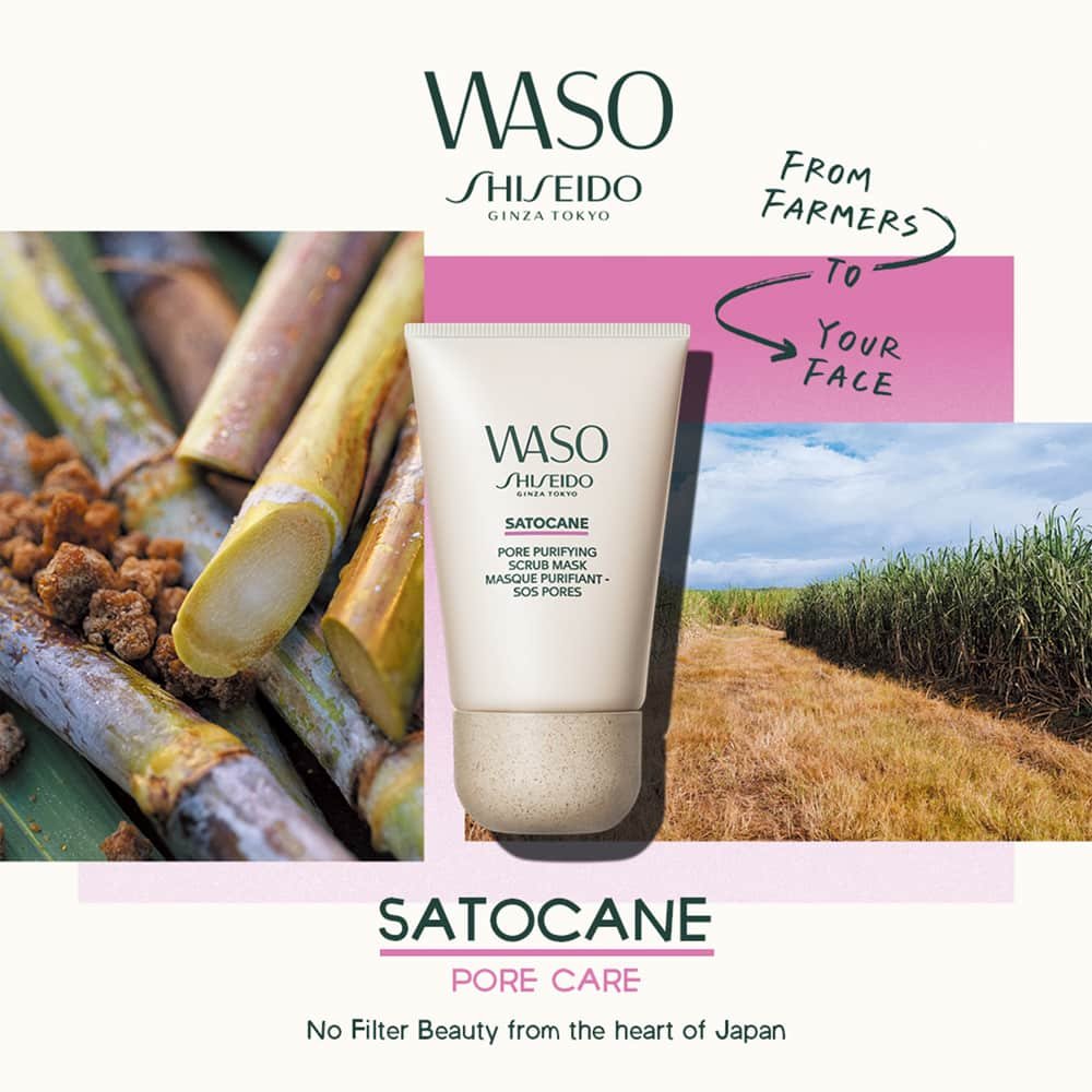 Shiseido WASO Satocane Pore Purifying Scrub Mask