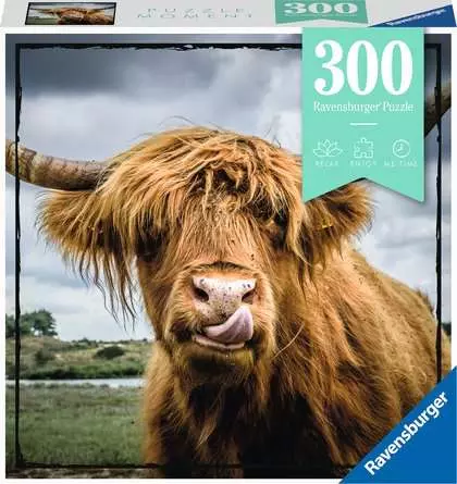 Puzzle 300 Teile - Highland Cattle