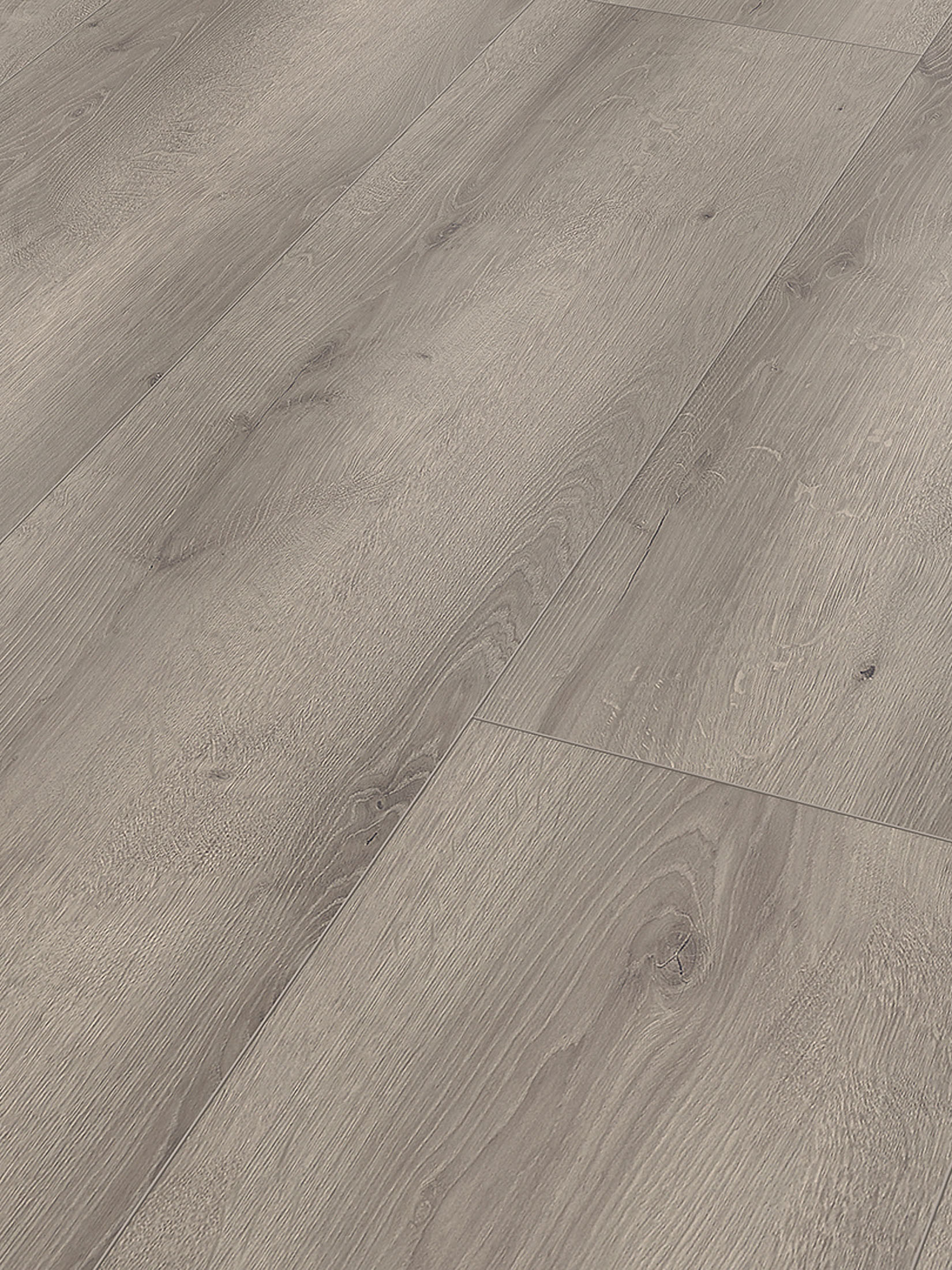 Natura XXL Klick-Laminat, Bright Grey Oak 62266