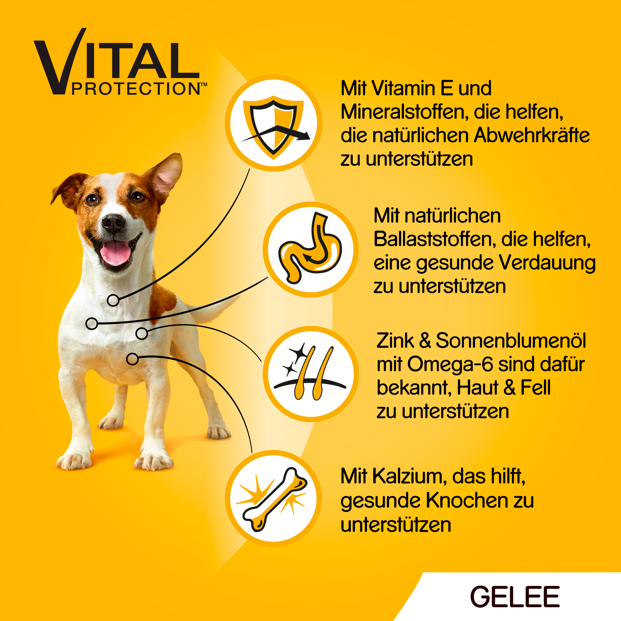 Pedigree Hundenassfutter Pedigree Vital Multipack Portionsbeutel in Gelee 40x100g