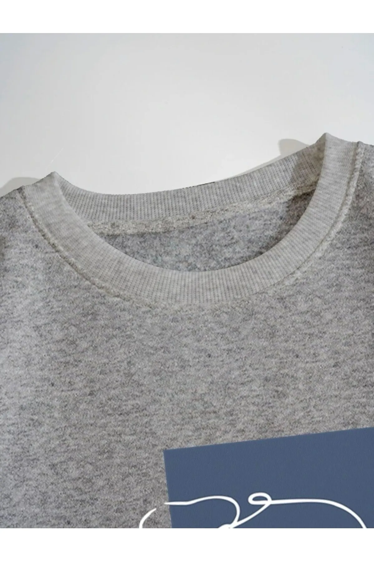 MOONBULL  Sweatshirt - Grau - Regular Fit