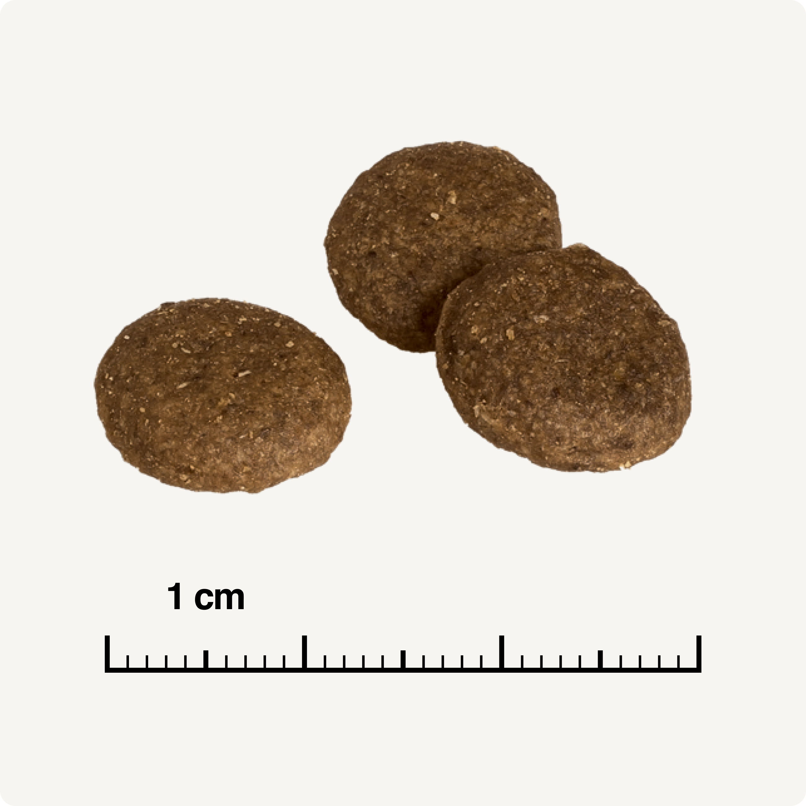 REAL NATURE Hundetrockenfutter REAL NATURE Country Selection Senior Alpine Truthahn & Alpenrind 1 kg