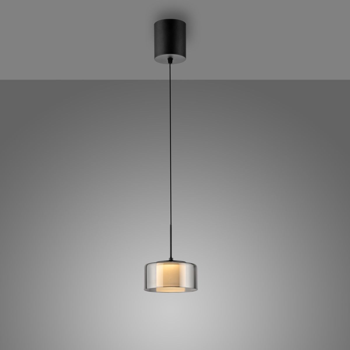 Paul Neuhaus 1-flg Pendellampe Rika Schwarz
