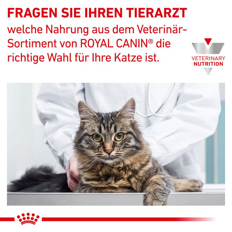 Royal Canin Veterinary Feline Skin & Coat zu TOP-Preisen | bitiba