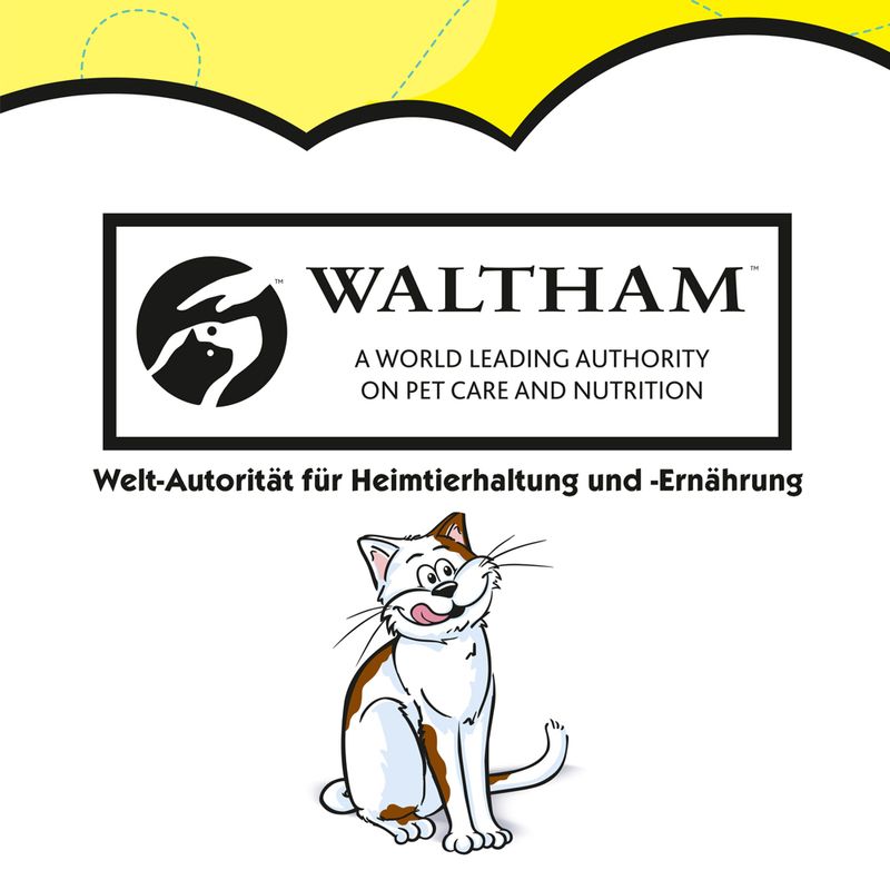 Probierpaket Dreamies Traumland 4 x 60 g zu TOP-Preisen | bitiba