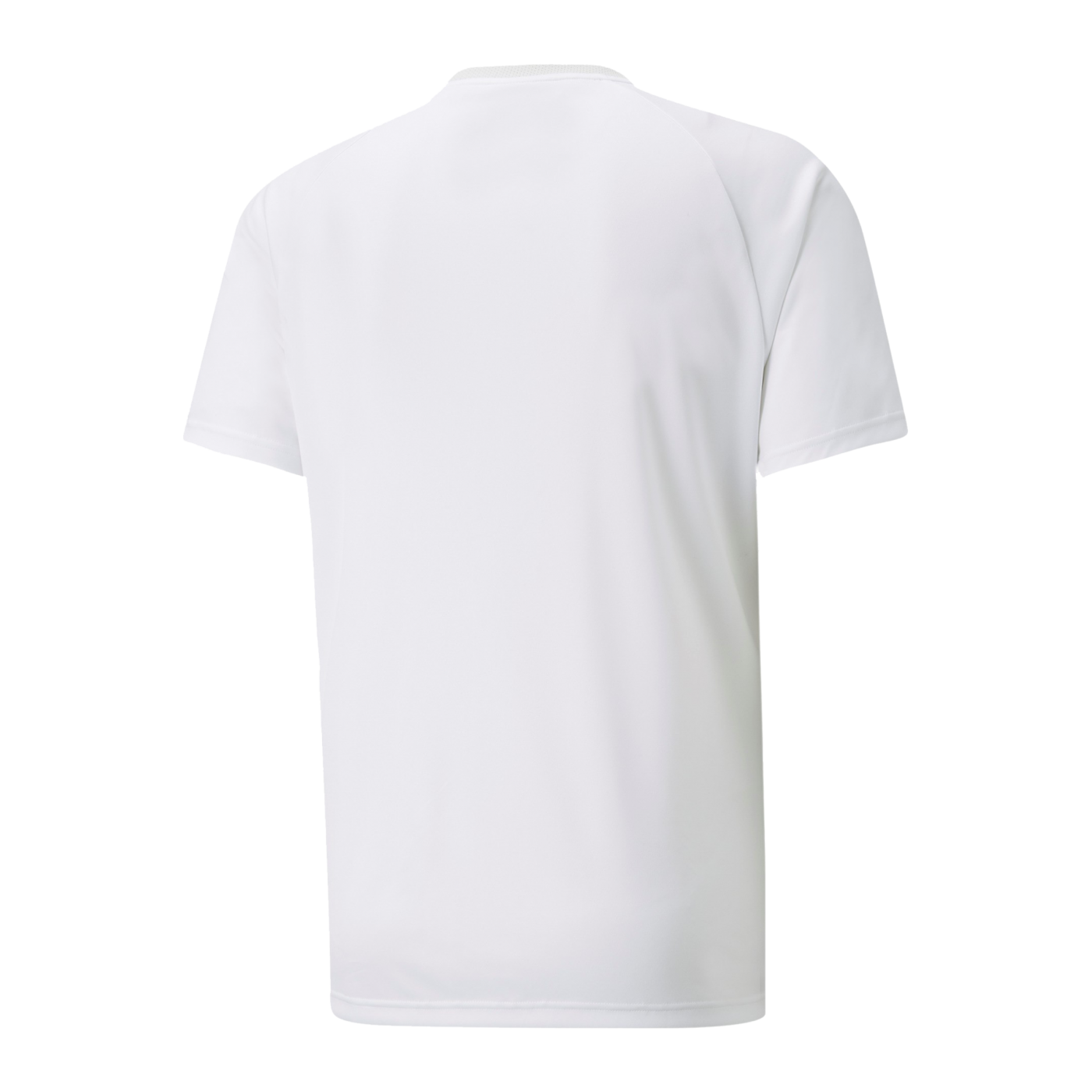 PUMA teamVISION Trikot Weiss Grau F04