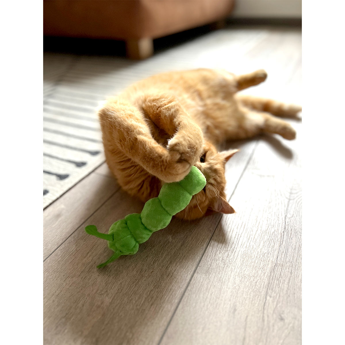 Aumüller Katzenspielkissen Raupe Pedro kaufen