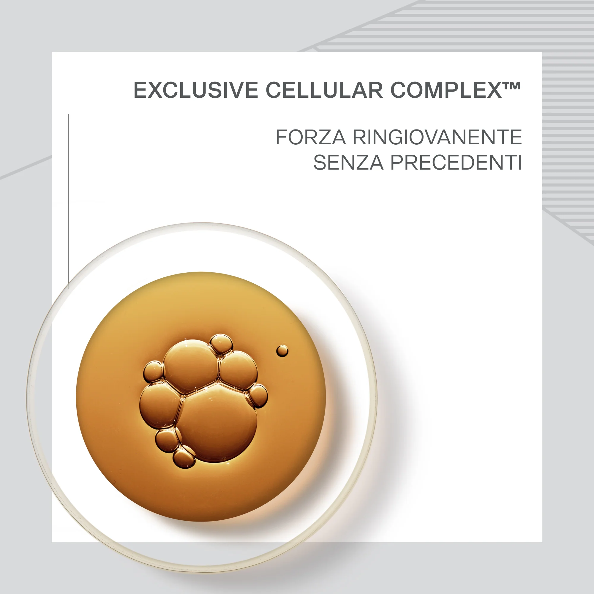Skin Caviar Essence of Skin Caviar Eye Complex Øjengel - Anti-rynke øjenkontur