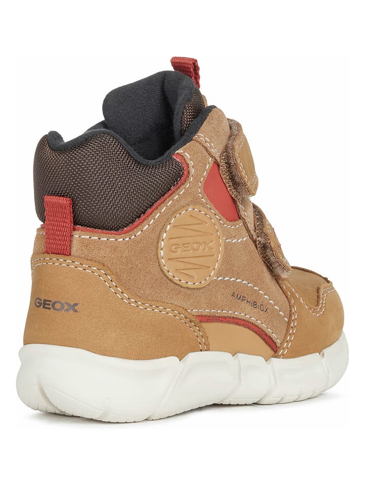 Geox Boots 