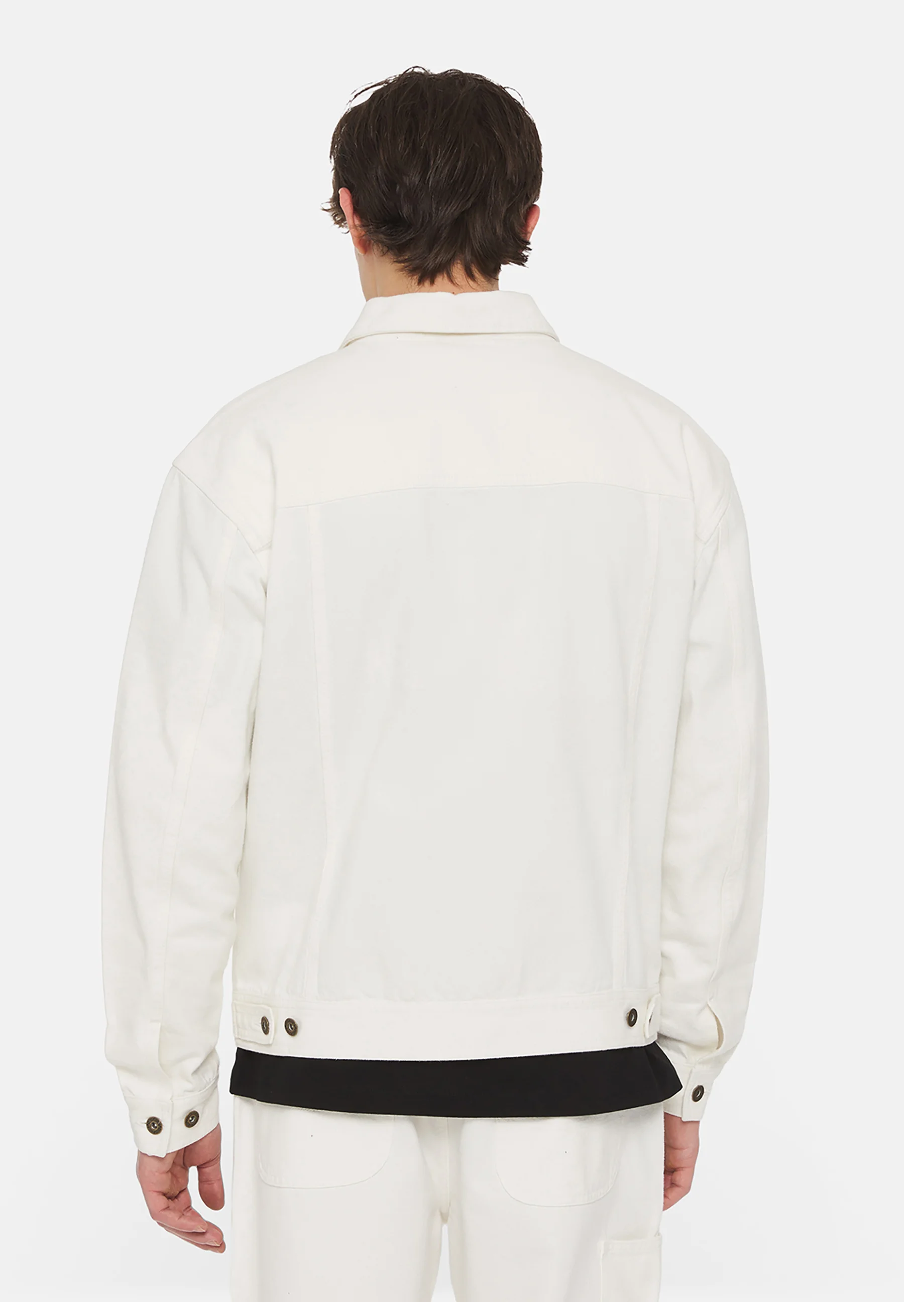 Dickies MADISON - Chaqueta vaquera
