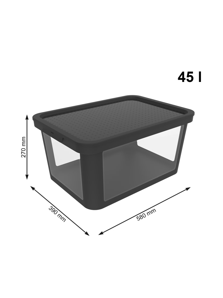 Rotho Aufbewahrungsbox 45l inkl. Stülpdeckel ALBRIS in Schwarz günstig kaufen onesize