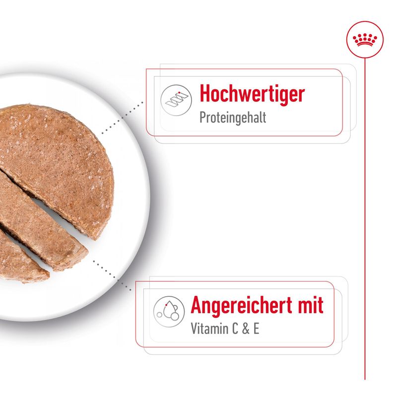 Royal Canin Medium Adult Mousse zu TOP-Preisen