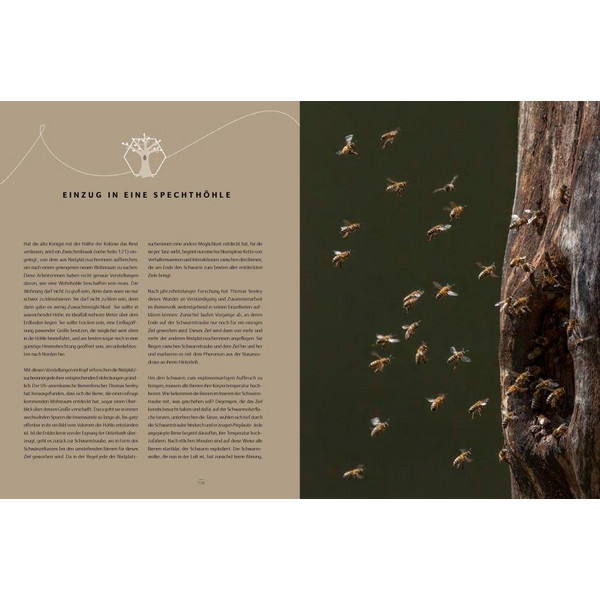 Honigbienen - geheimnisvolle Waldbewohner - Sachbuch
