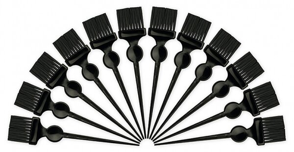 Termix Black Fiber klein 12er-Pack Fächerpinsel