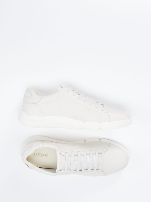 Sneaker-46613790008 Geox