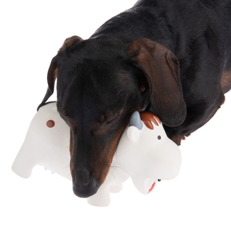 Hundespielzeug quietschende Latex-Kuh Isabella