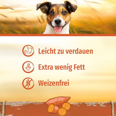 SmartBones Hundeknochen Süßkartoffel für kleine Hunde