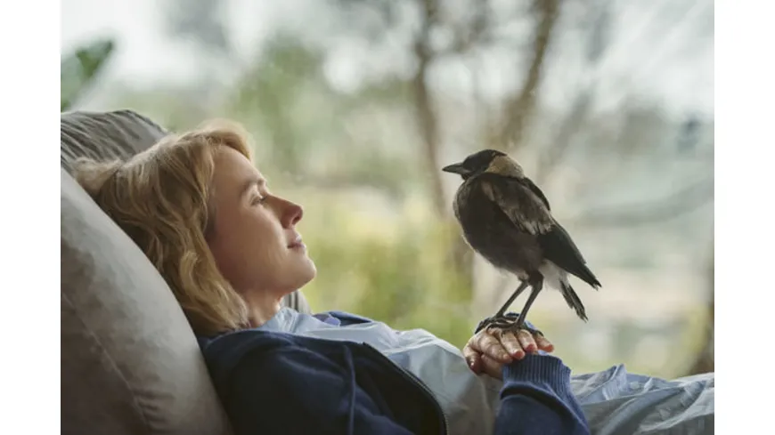 Beflügelt - Ein Vogel namens Penguin Bloom