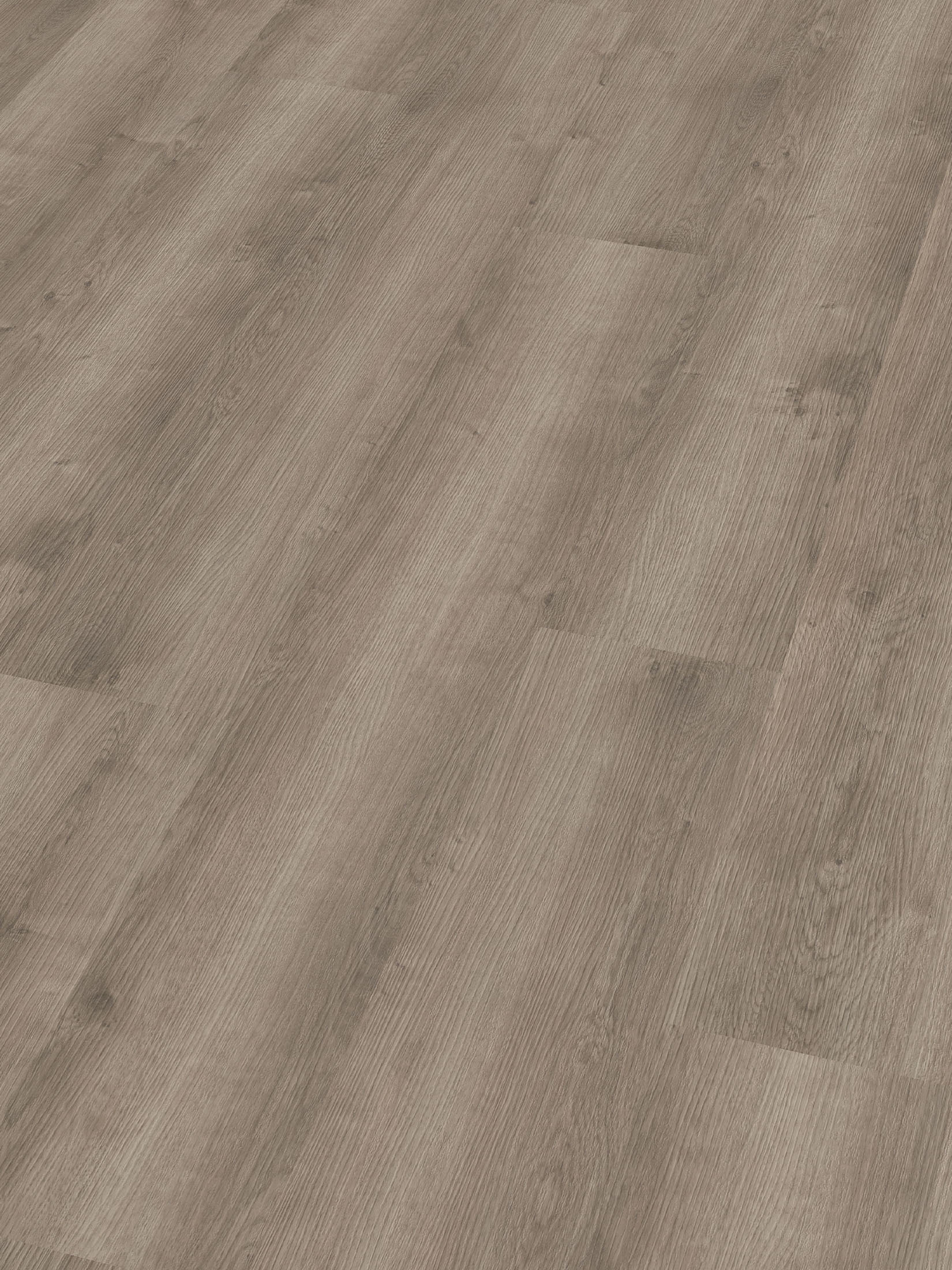 Vito Vinylboden, Noble Oak 62