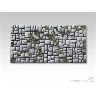 Stonefloor | 50x100mm Streitwagen (1)