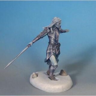 Elfenkrieger mit Langschwert