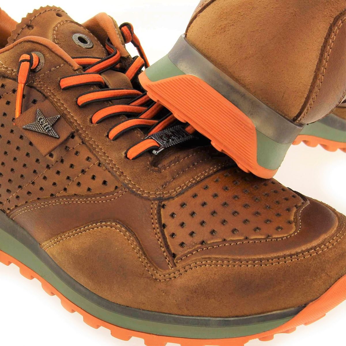 Cetti  C848 H22 - camel