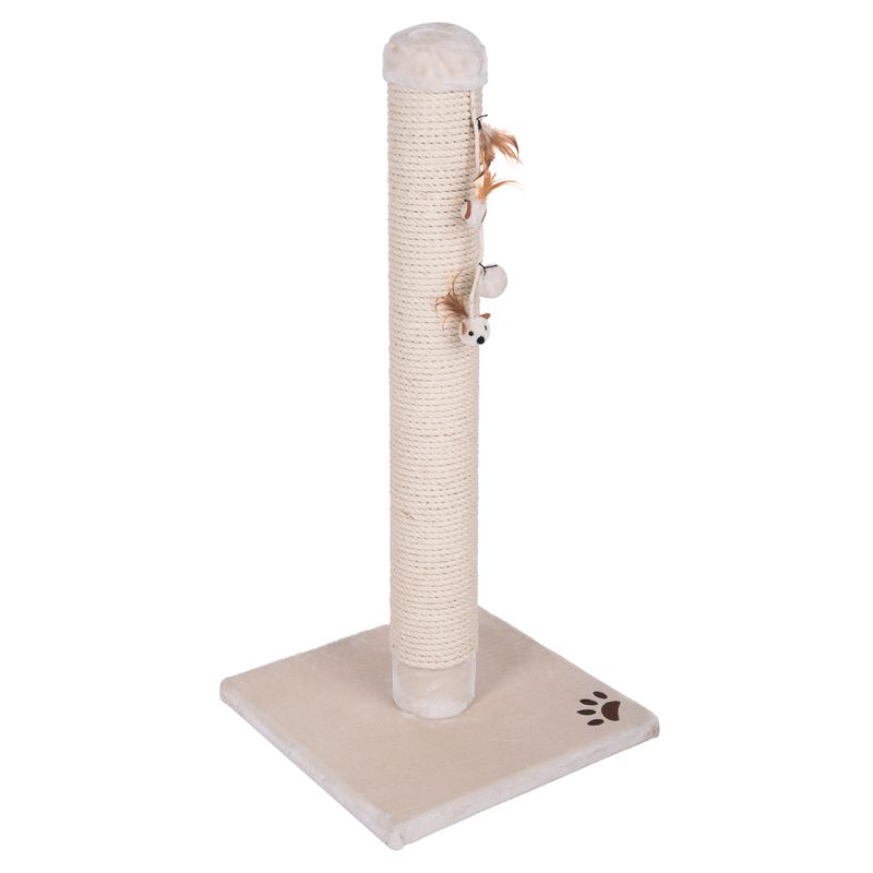 XXL Kratzstamm Premium zu TOP-Preisen