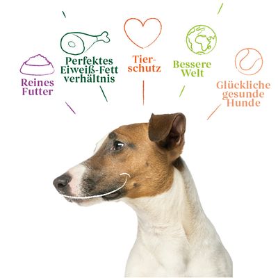 Yarrah Bio Mini Snack für Hunde
