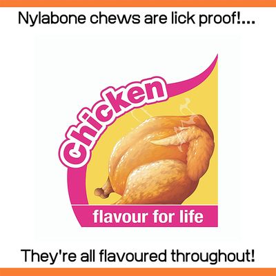Nylabone Welpen Dental Kauknochen